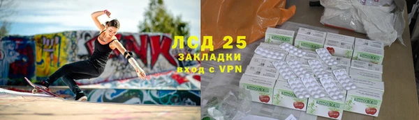 дурь Няндома