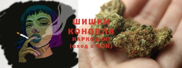 ГАЛЛЮЦИНОГЕННЫЕ ГРИБЫ Нягань