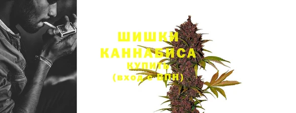 дмт Вязьма