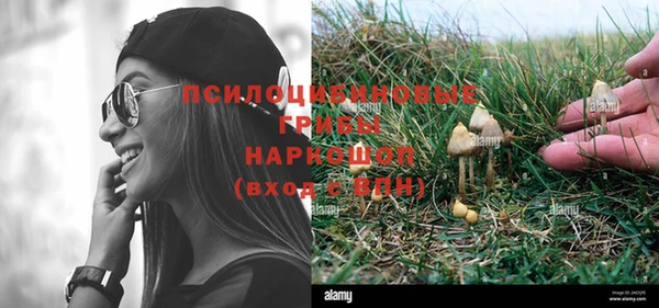 ГАЛЛЮЦИНОГЕННЫЕ ГРИБЫ Нягань