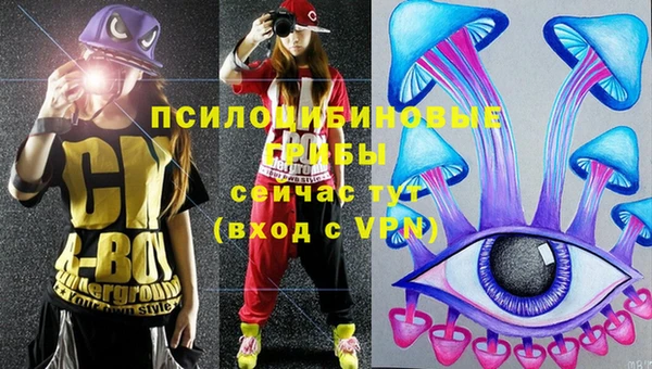 дурь Няндома