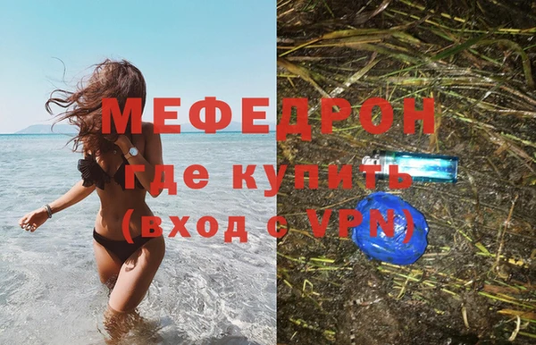 дурь Няндома