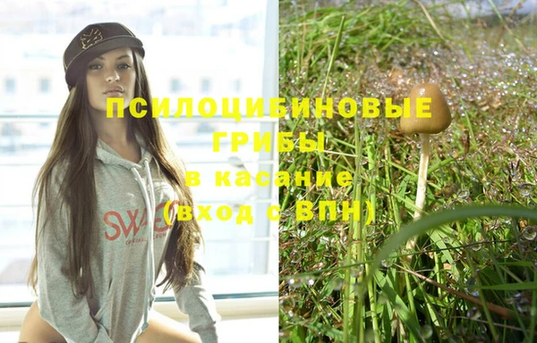 ГАЛЛЮЦИНОГЕННЫЕ ГРИБЫ Нягань