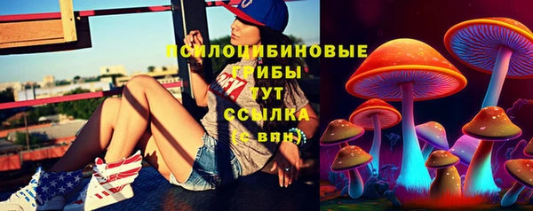 Альфа ПВП Вяземский