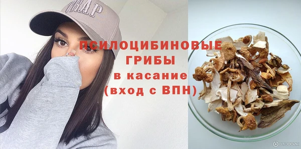 ГАЛЛЮЦИНОГЕННЫЕ ГРИБЫ Нягань