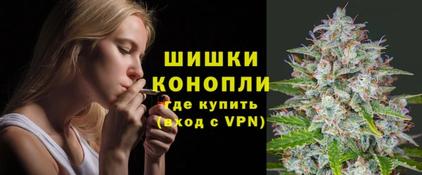 дурь Няндома